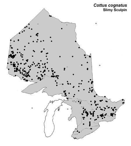 Slimy Sculpin range