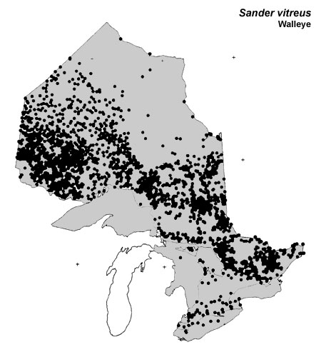 Walleye (yellow pickerel) range